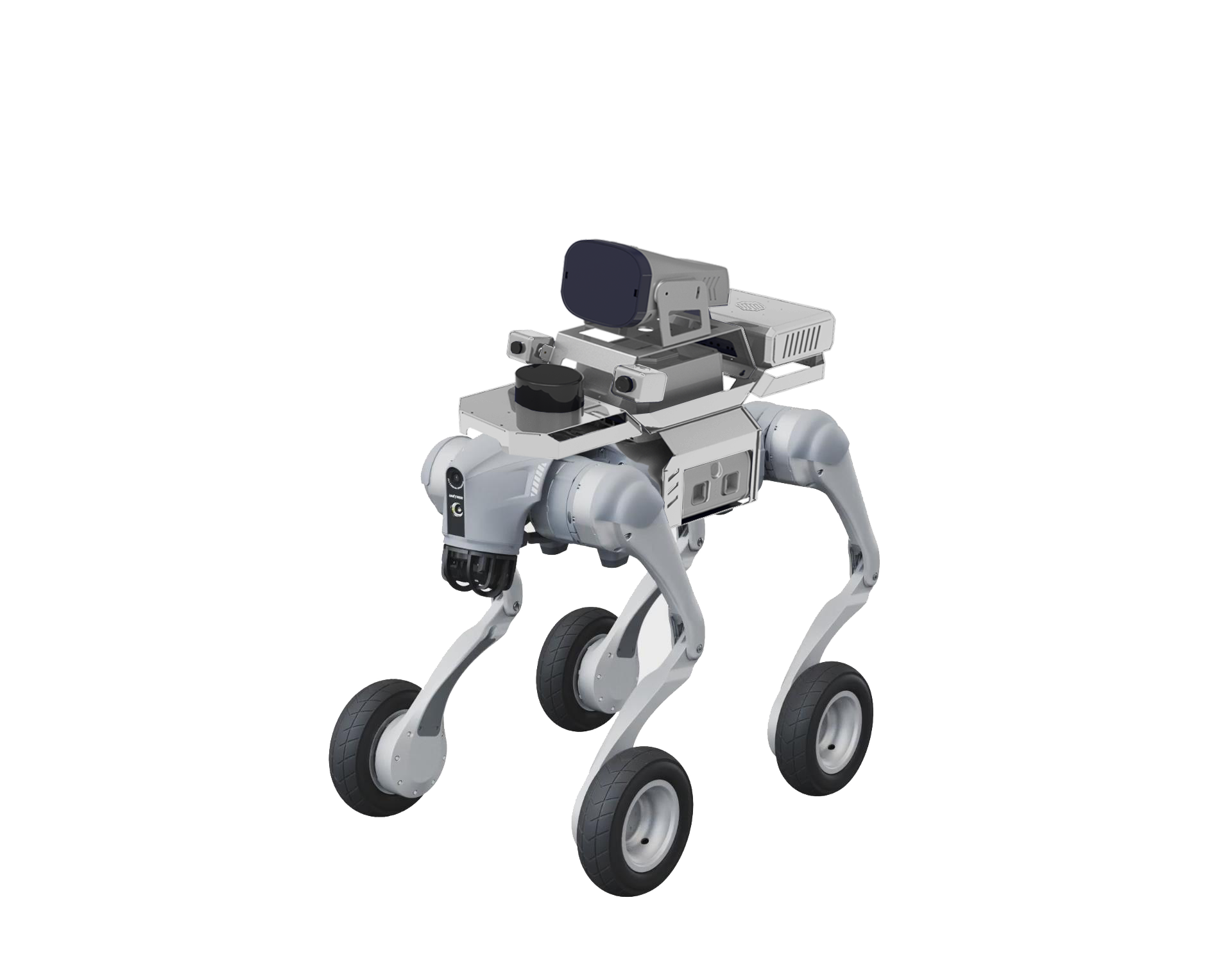 ���������ʽ��е��