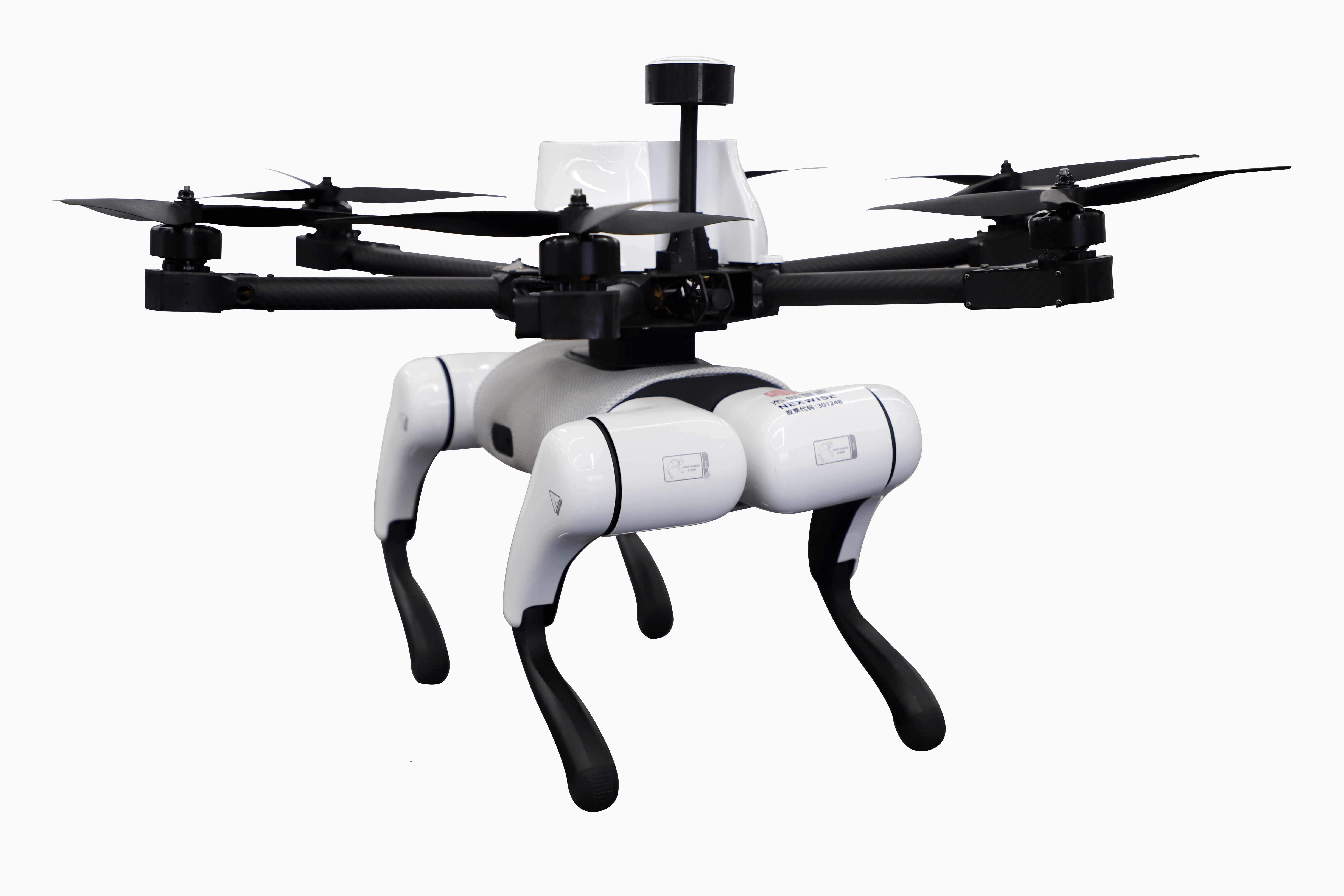 �����е��